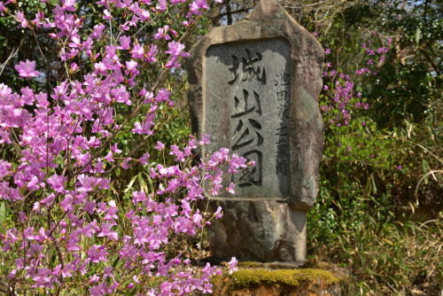 周匝-B-4